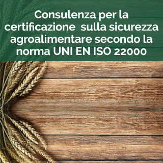 iso-22000