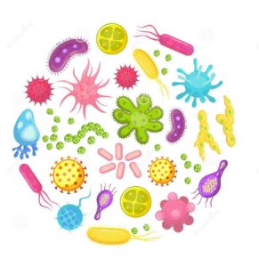 contaminazione crociata diretta alimenti