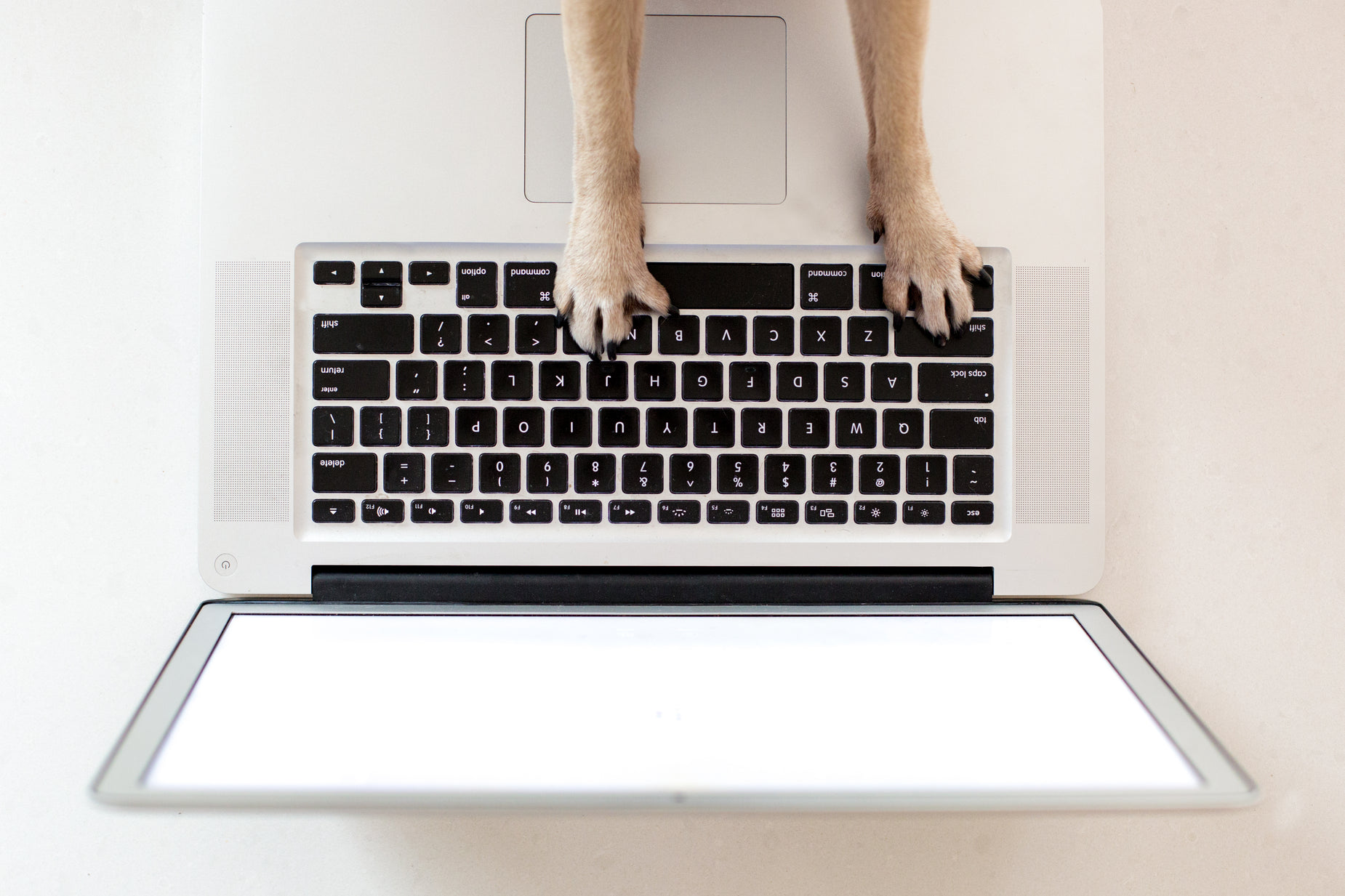 e-learning