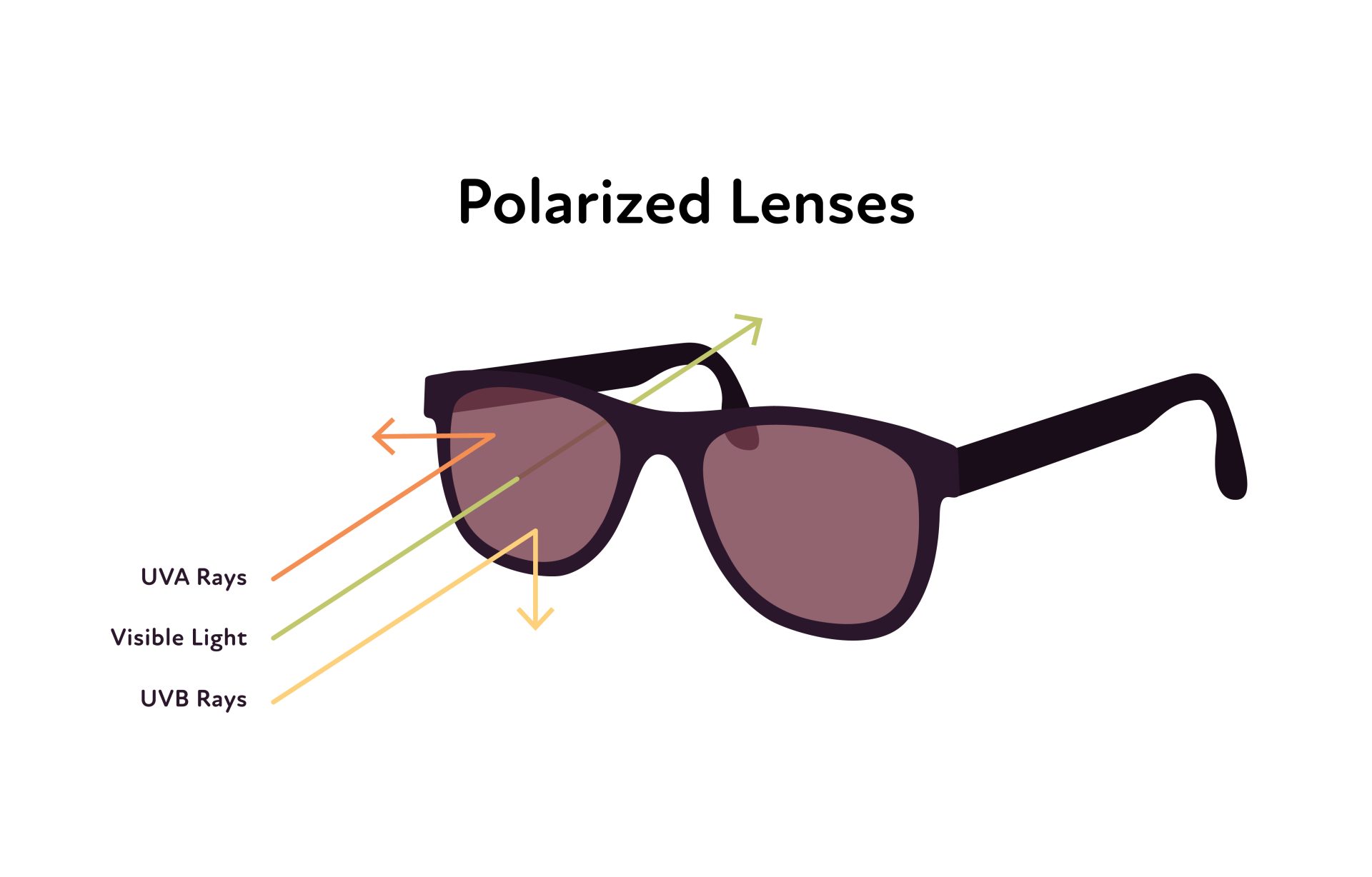 lenti polarizzate